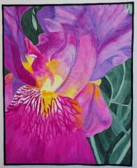 My Iris by Pam Jenner